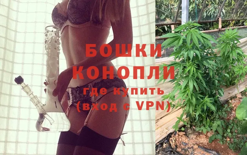 Каннабис OG Kush  Завитинск 